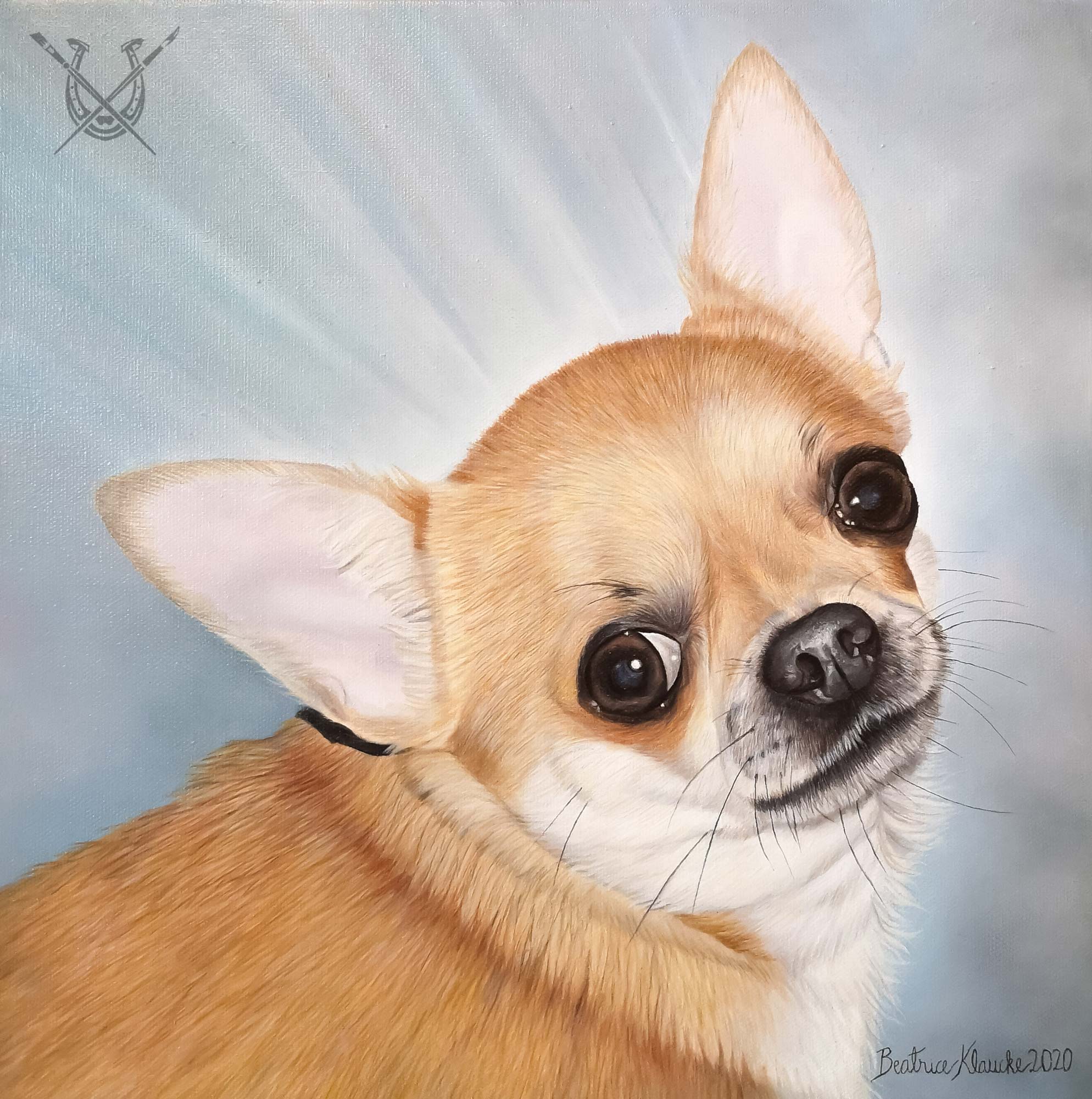 Chihuahua 'Athroditi'